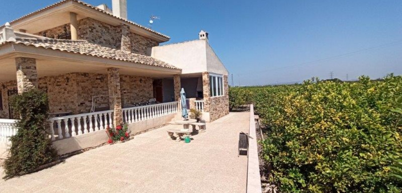 Sale - Finca Country Property -
San Miguel de Salinas