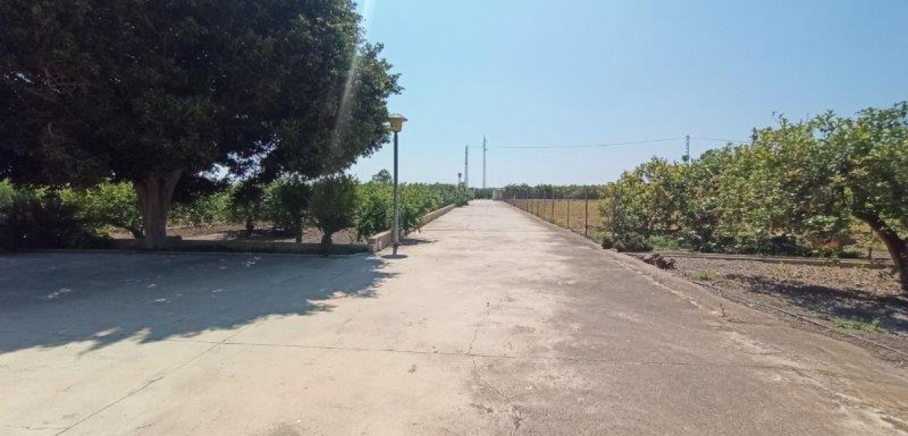 Sale - Finca Country Property -
San Miguel de Salinas