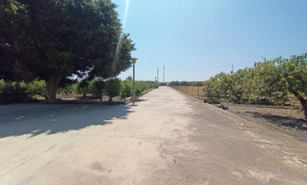 Sale - Finca Country Property -
San Miguel de Salinas