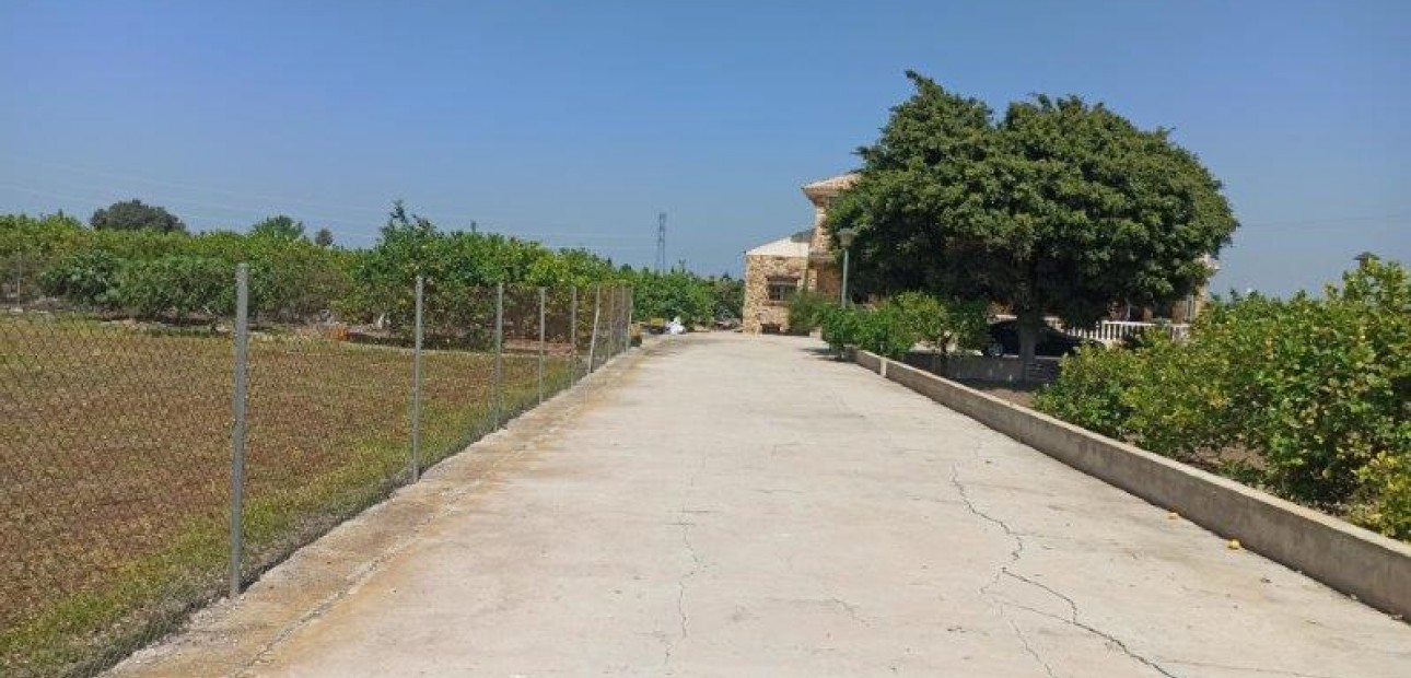 Sale - Finca Country Property -
San Miguel de Salinas