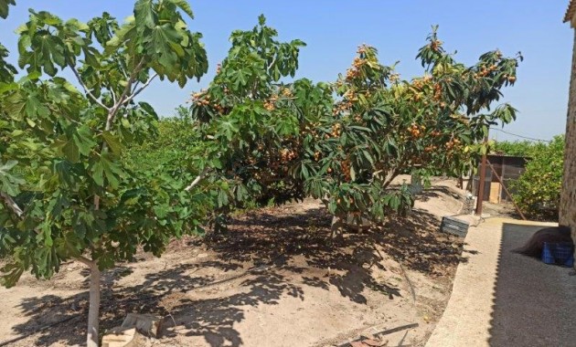 Sale - Finca Country Property -
San Miguel de Salinas