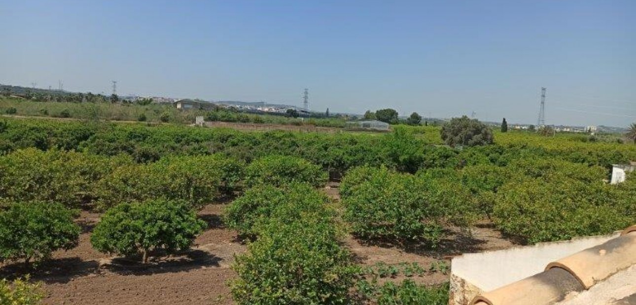 Sale - Finca Country Property -
San Miguel de Salinas