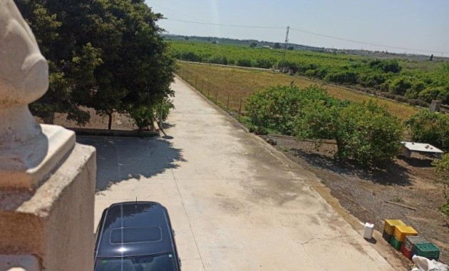 Sale - Finca Country Property -
San Miguel de Salinas
