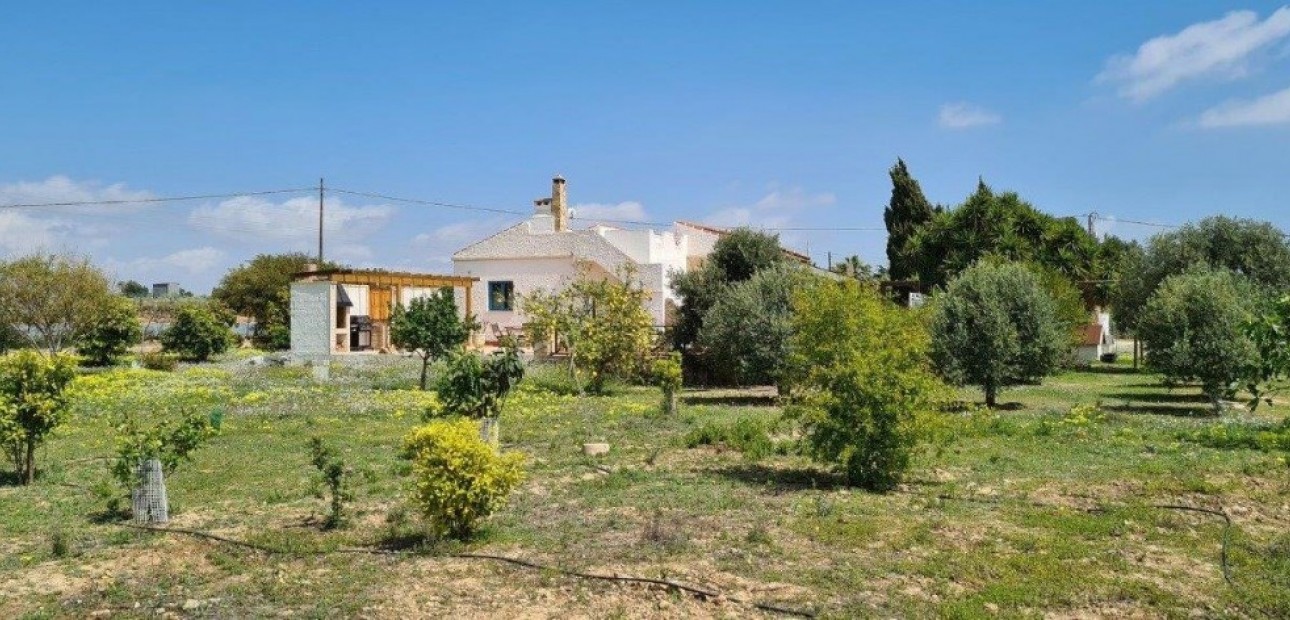 Venta - Finca Country Property -
Los Montesinos
