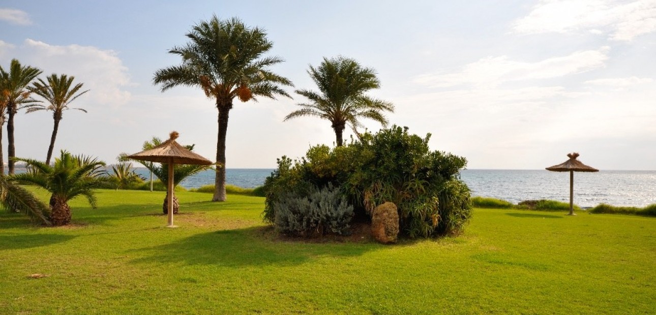 New Build - Apartment / flat -
Torrevieja