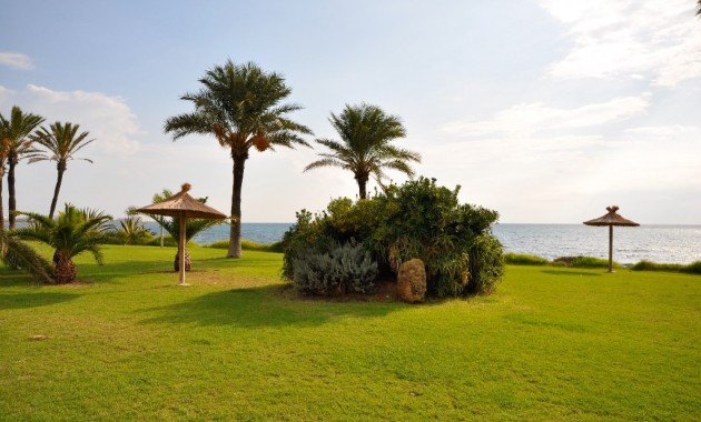 New Build - Apartment / flat -
Torrevieja