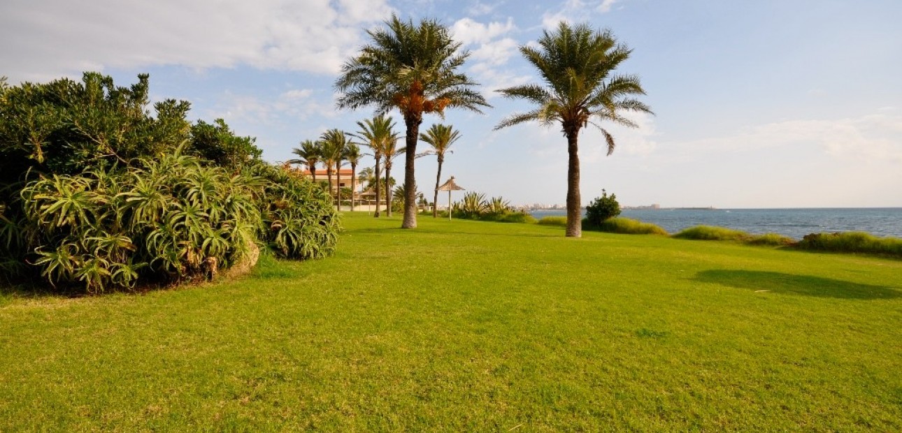 New Build - Apartment / flat -
Torrevieja