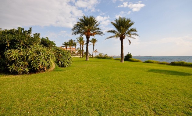 New Build - Apartment / flat -
Torrevieja