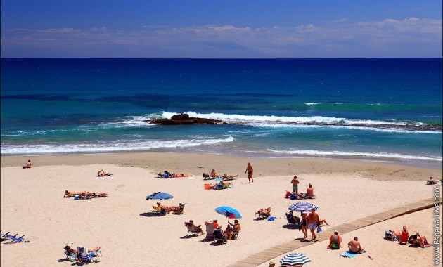 New Build - Apartment / flat -
Torrevieja