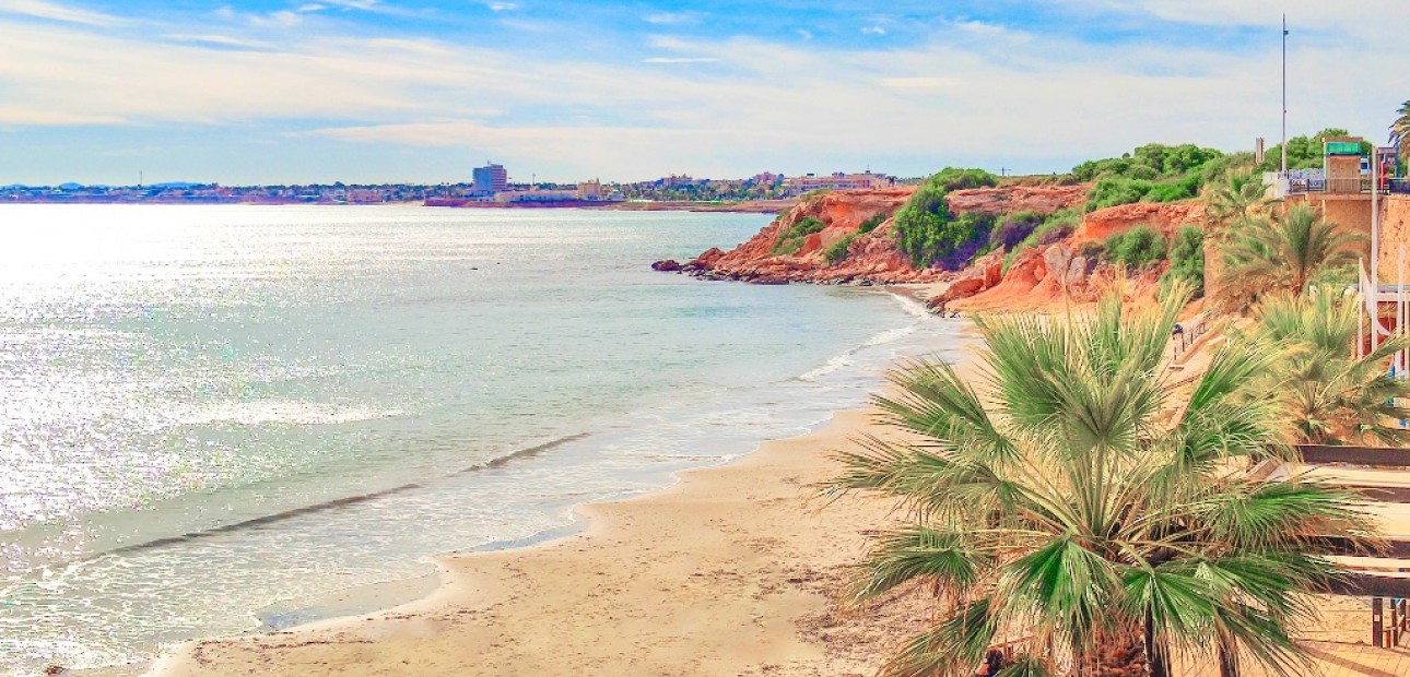 Nieuwbouw - Appartement / flat -
Torrevieja