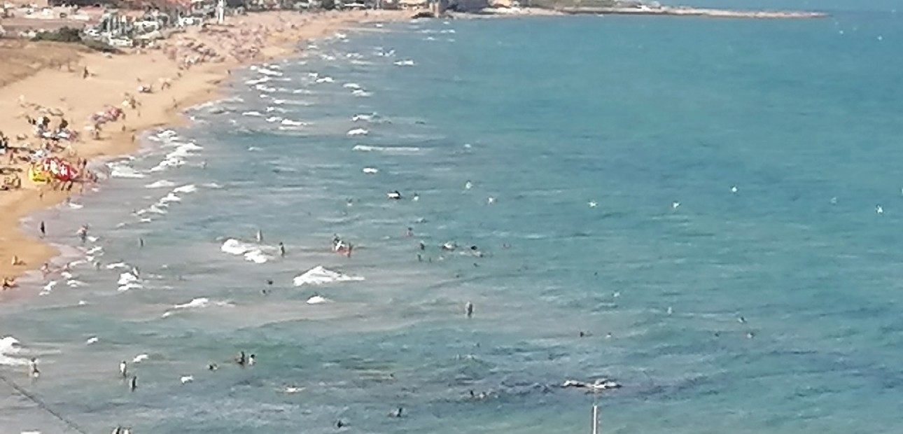 Nueva construcción  - Villa -
Torrevieja