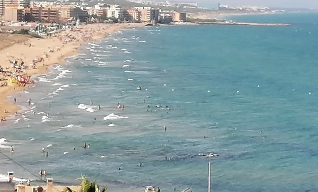 Nueva construcción  - Villa -
Torrevieja