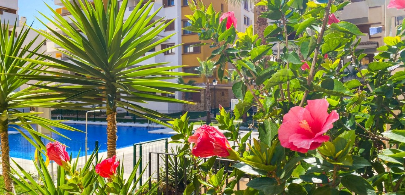 Vakantie verhuur - Appartement / flat -
Punta Prima - La Recoleta