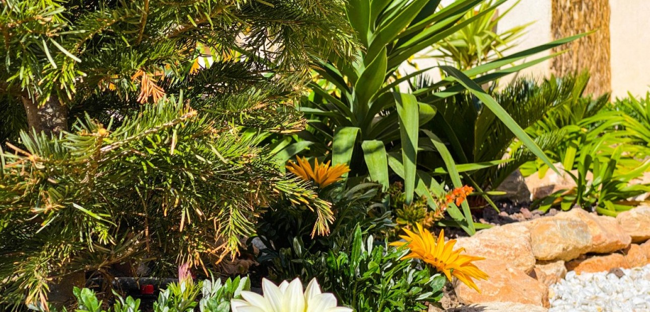 Vakantie verhuur - Appartement / flat -
Punta Prima - La Recoleta