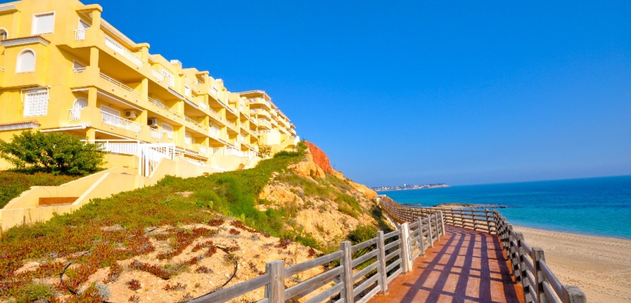 Nueva construcción  - Villa -
Dehesa de Campoamor