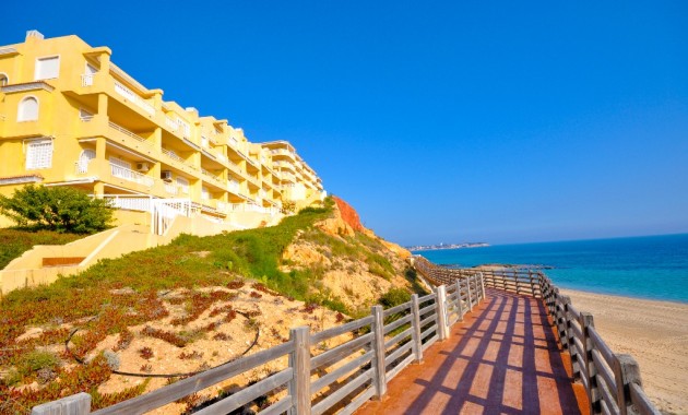 Nueva construcción  - Villa -
Dehesa de Campoamor