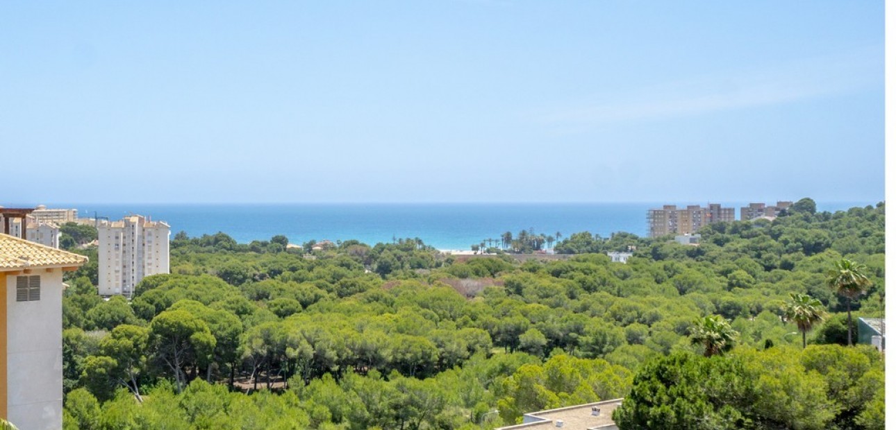 Venta - Apartamento / piso -
Dehesa de Campoamor