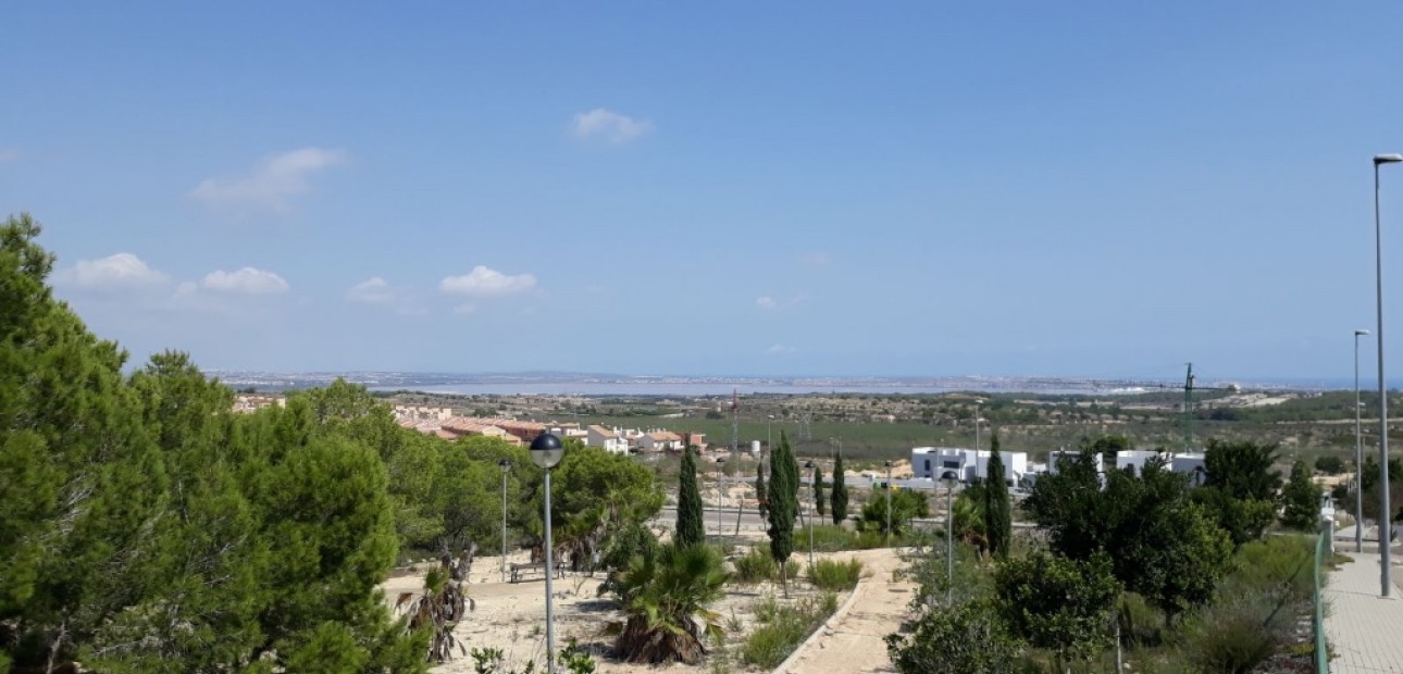 Nieuwbouw - Villa -
San Miguel de Salinas