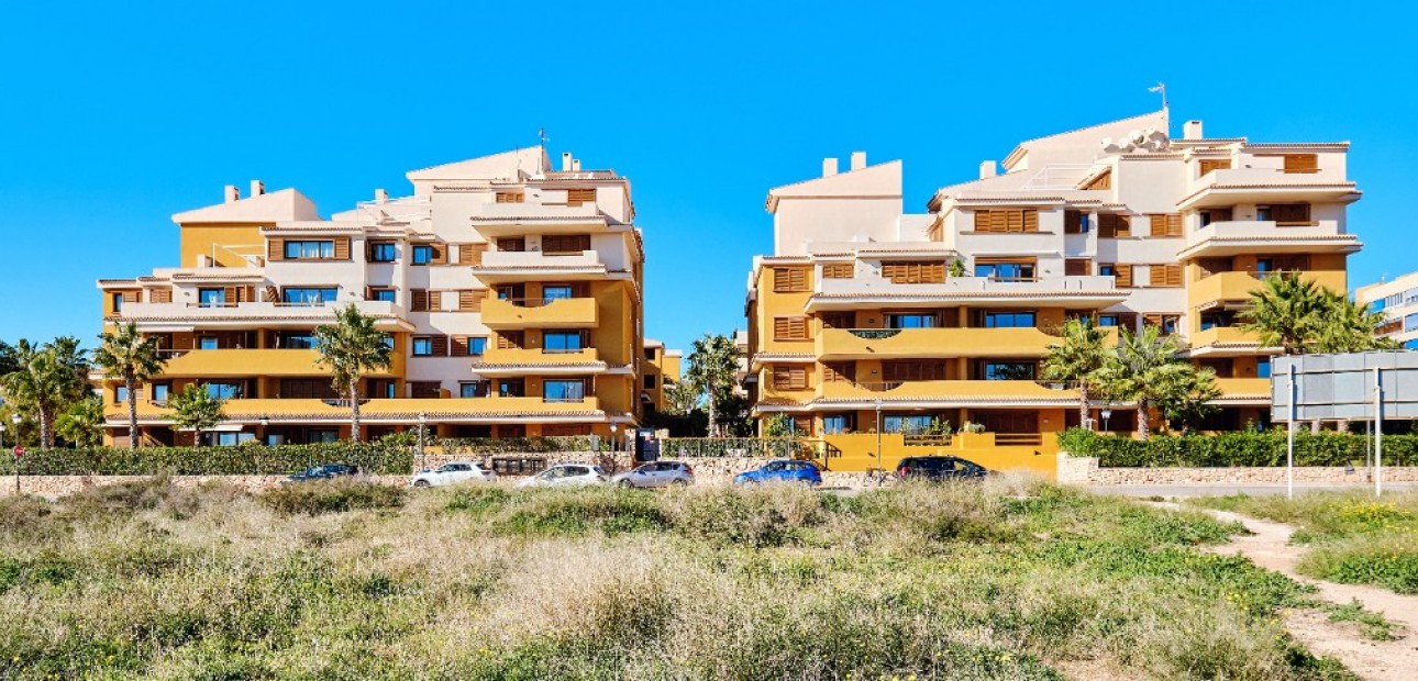 Vakantie verhuur - Appartement / flat -
Punta Prima - La Entrada