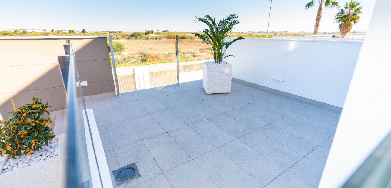 Nueva construcción  - Villa -
Guardamar del Segura