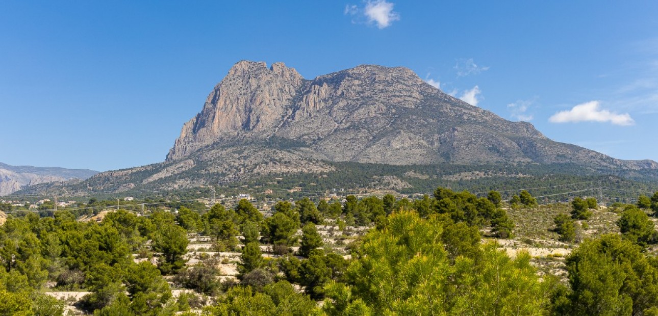 Nueva construcción  - Villa -
Benidorm