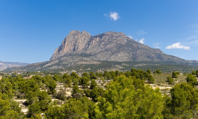 Nueva construcción  - Villa -
Benidorm