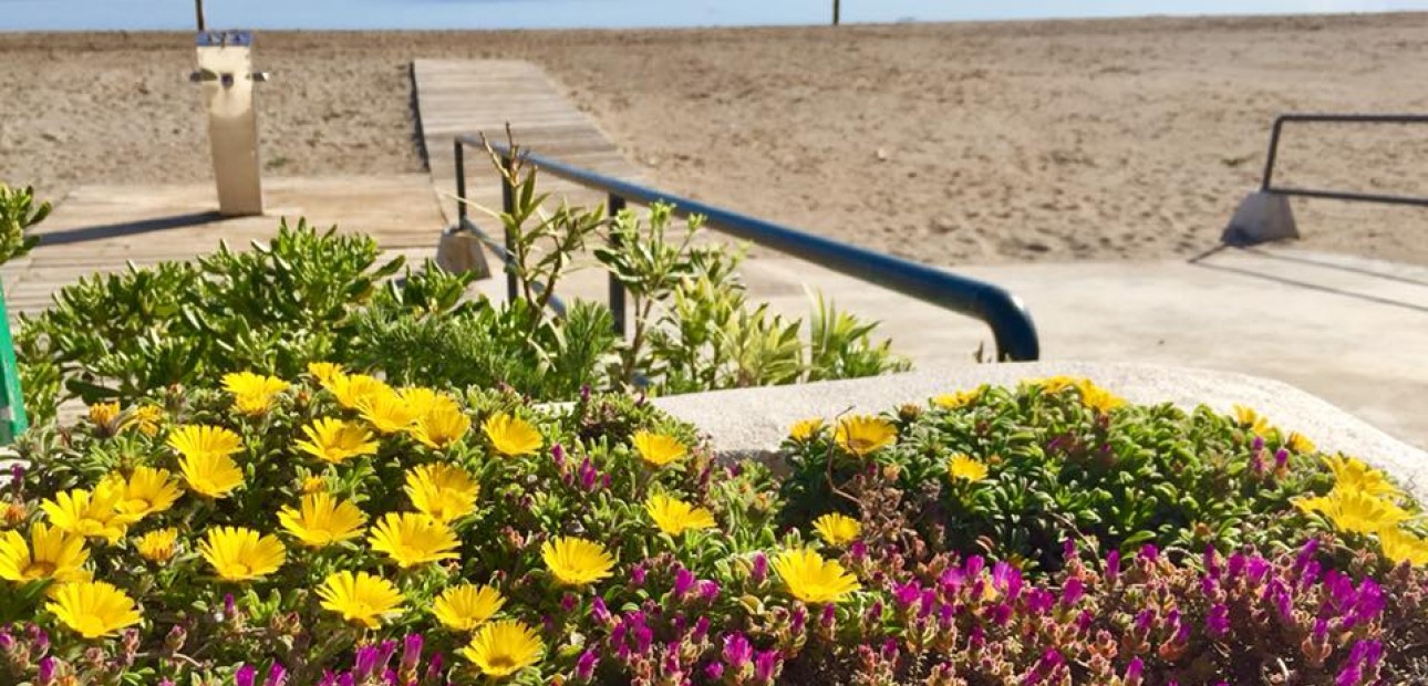 Nueva construcción  - Villa -
Murcia