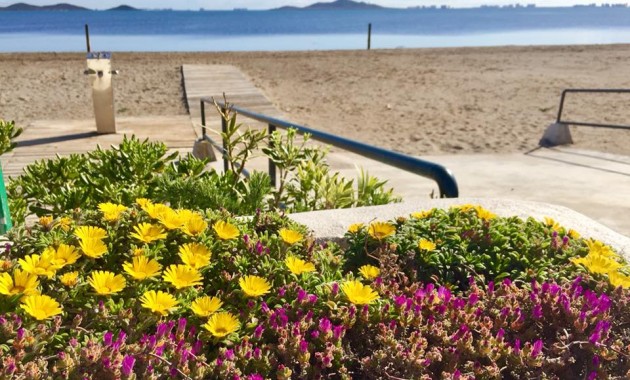 Nueva construcción  - Villa -
Murcia