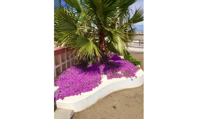 Nueva construcción  - Villa -
Murcia