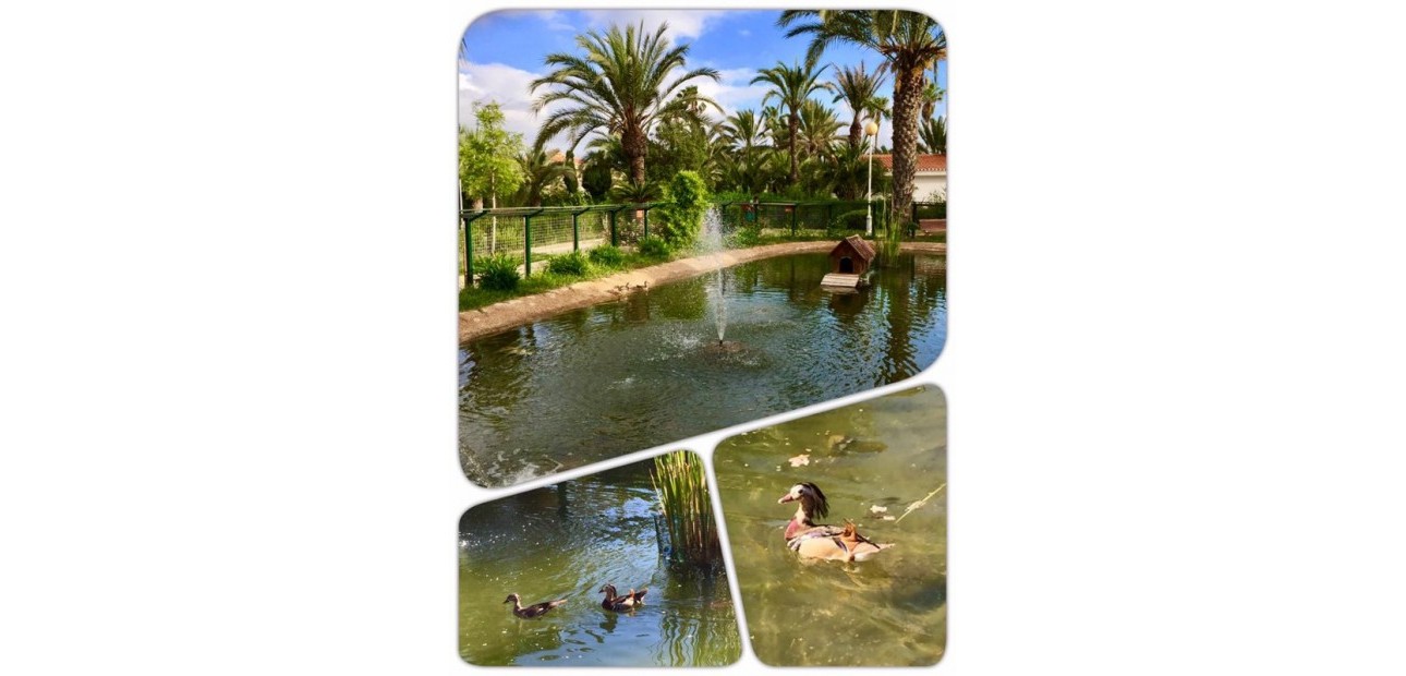 Nueva construcción  - Villa -
Murcia