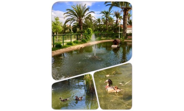 Nueva construcción  - Villa -
Murcia