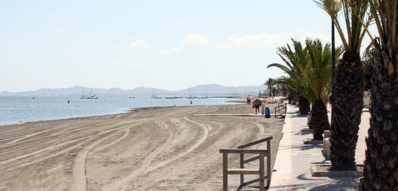 Nueva construcción  - Villa -
Murcia