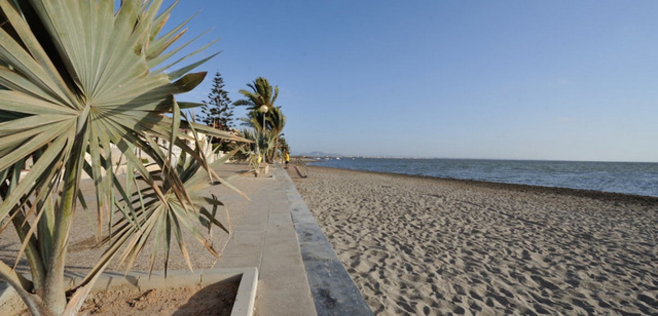 Nueva construcción  - Villa -
Murcia