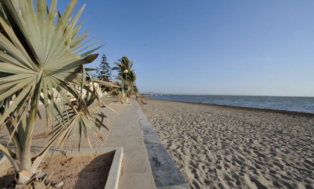 Nueva construcción  - Villa -
Murcia