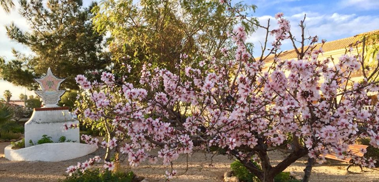 Nueva construcción  - Villa -
Murcia