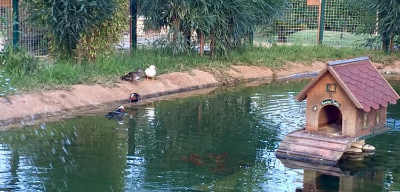 Nueva construcción  - Villa -
Murcia