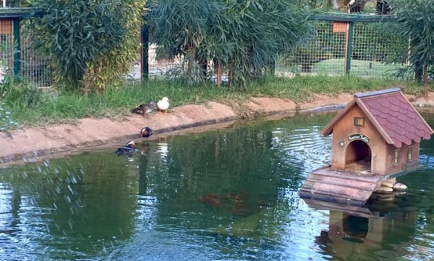 Nueva construcción  - Villa -
Murcia