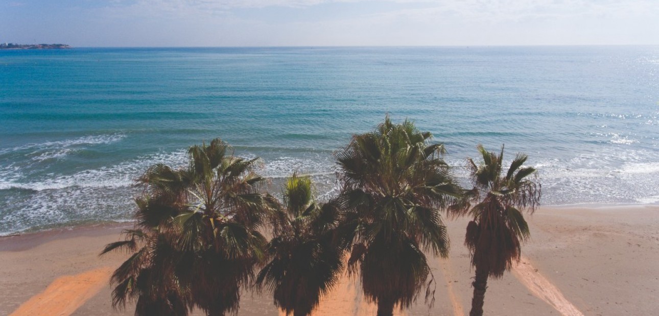 New Build - Apartment / flat -
Campoamor