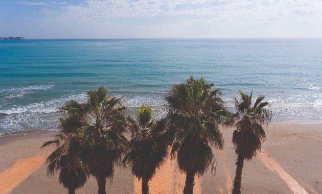 New Build - Apartment / flat -
Campoamor