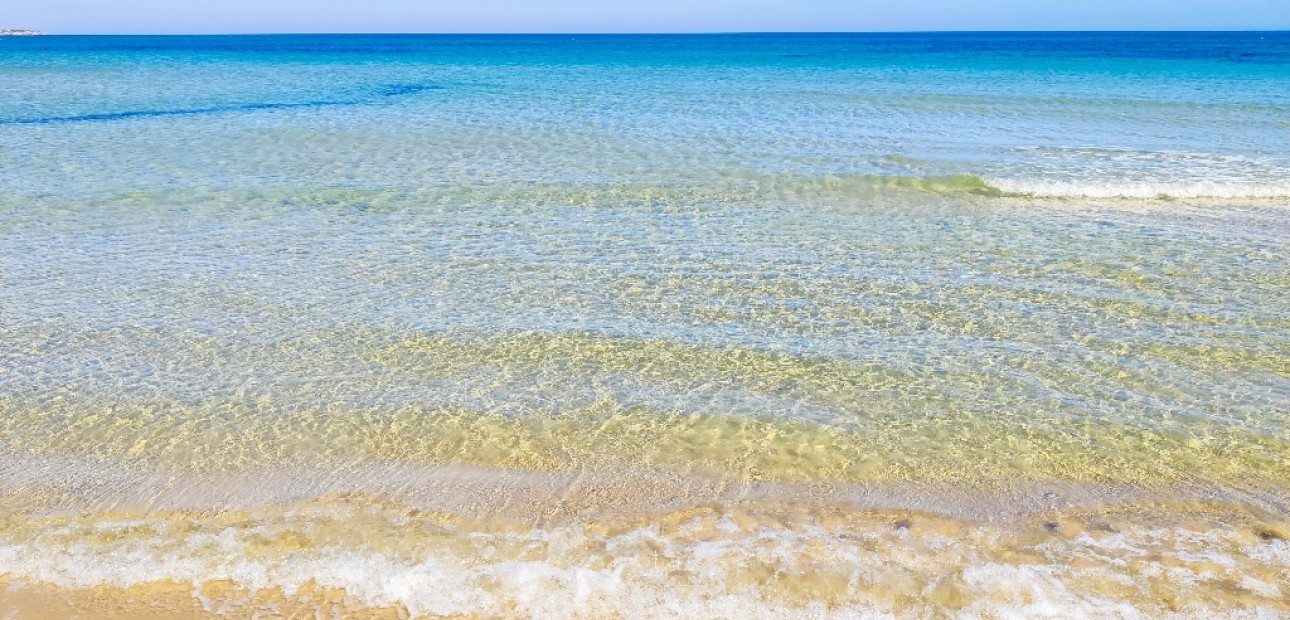 New Build - Apartment / flat -
Pilar de la Horadada - Torre de la Horadada