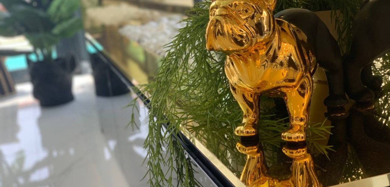 Nieuwbouw - Villa -
Torrevieja