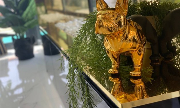 Nieuwbouw - Villa -
Torrevieja