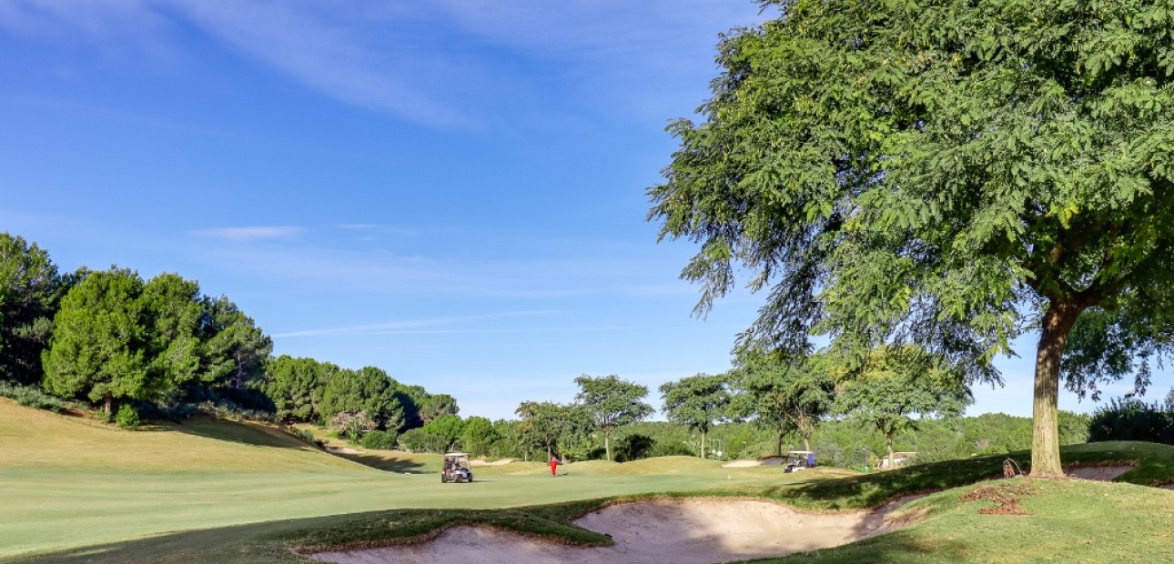 Nueva construcción  - Villa -
Las Colinas - Las Colinas Golf