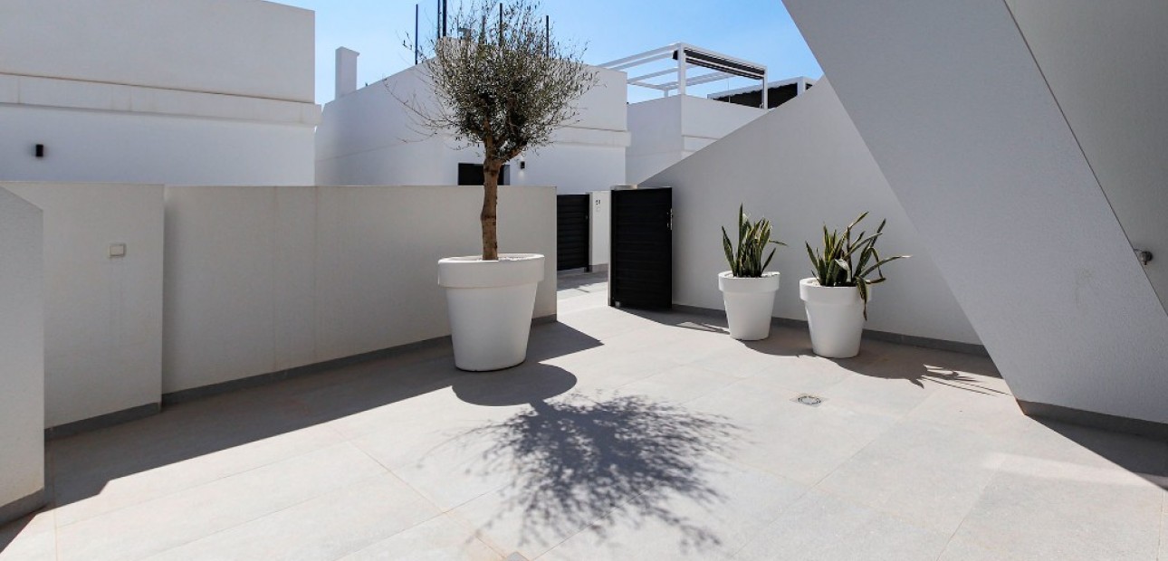 Nueva construcción  - Villa -
Guardamar del Segura