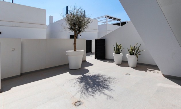 Nueva construcción  - Villa -
Guardamar del Segura