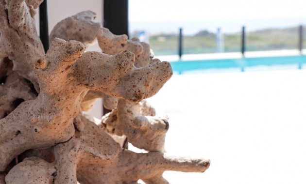 Nueva construcción  - Villa -
Guardamar del Segura