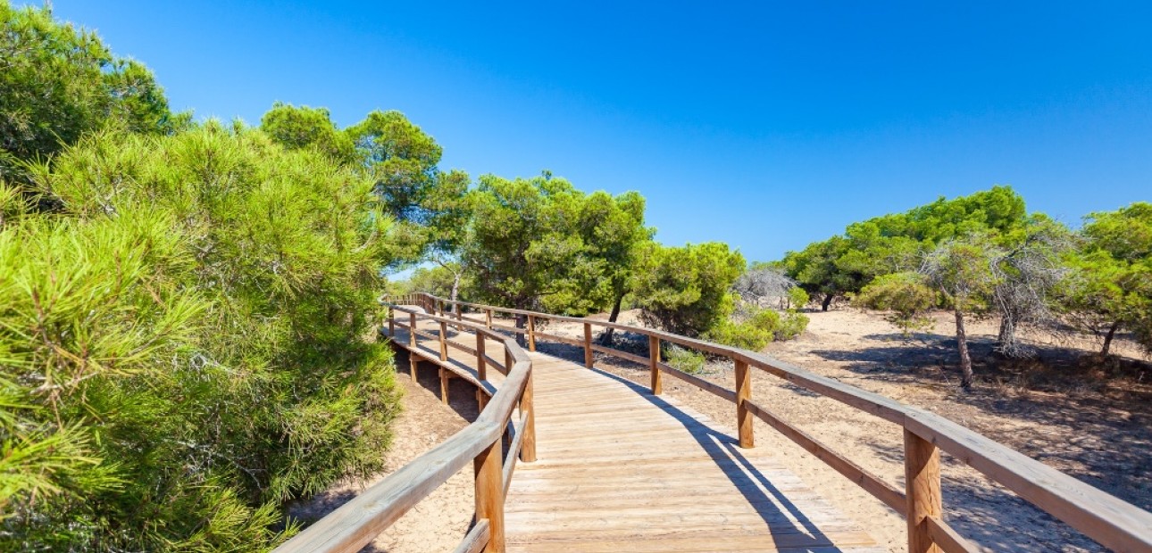 Nueva construcción  - Villa -
Guardamar del Segura