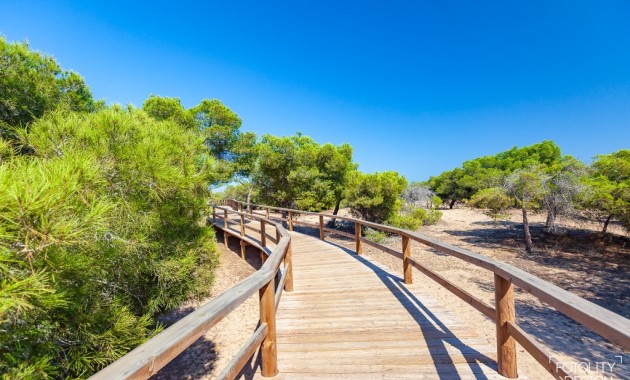 Nueva construcción  - Villa -
Guardamar del Segura