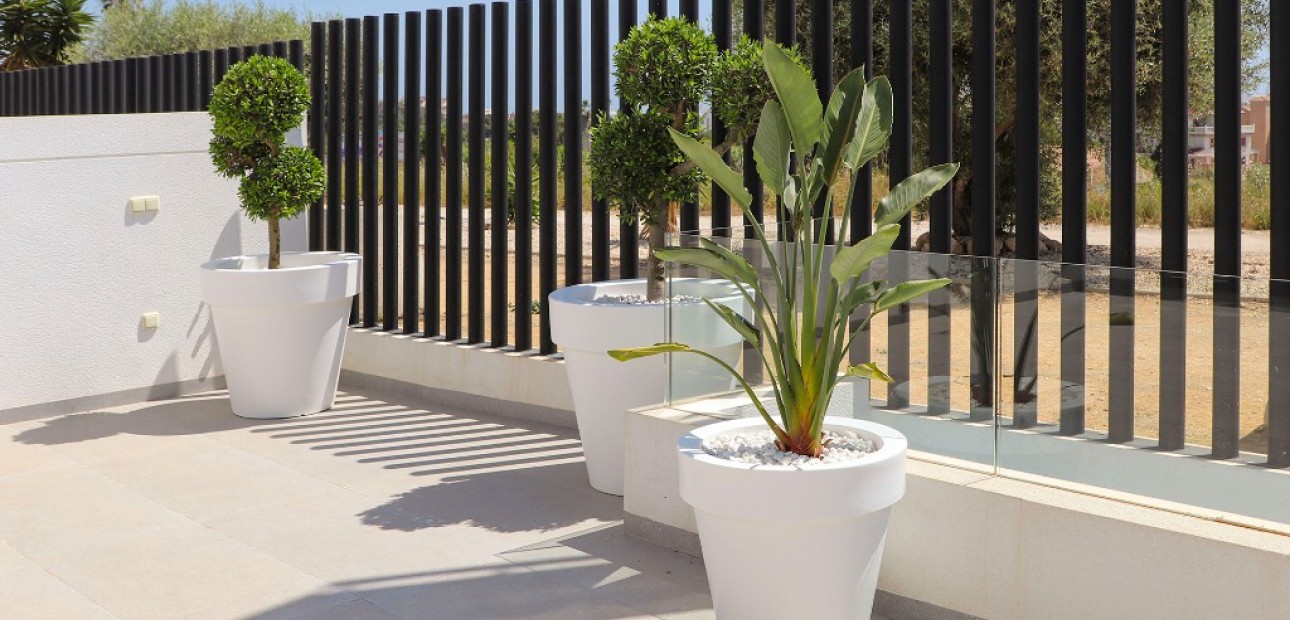 Nueva construcción  - Villa -
Guardamar del Segura