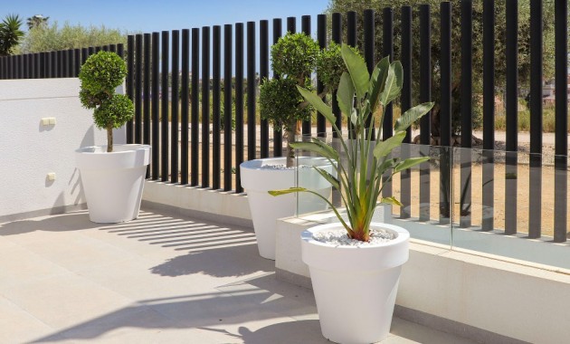 Nueva construcción  - Villa -
Guardamar del Segura